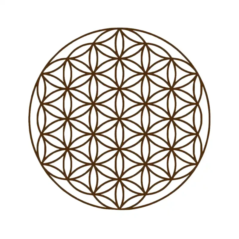 Tree of Life  Wall Stickers Brown | Stickers on Wall