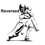 Batsman Cricket Wall Stickers Reversed | Stickers on Wall Batsman Cricket Wall Stickers Reversed | Stickers on Wall