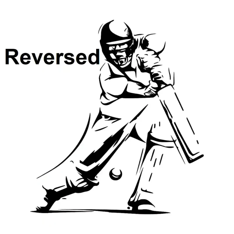 Batsman Cricket Wall Stickers Reversed | Stickers on Wall