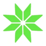 Bright Star Wall Stickers Apple Green | Stickers on Wall