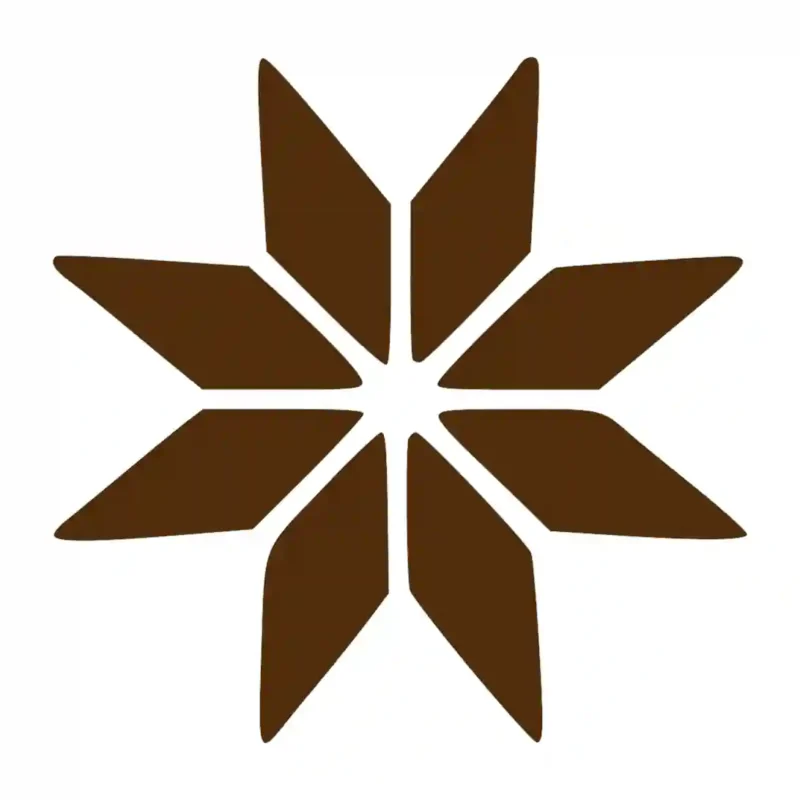 Bright Star Wall Stickers Brown | Stickers on Wall