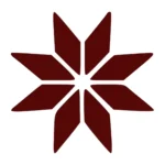 Bright Star Wall Stickers Burgundy | Stickers on Wall