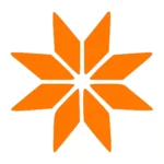 Bright Star Wall Stickers Orange | Stickers on Wall
