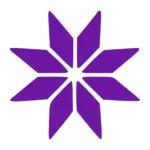 Bright Star Wall Stickers Perfect Purple | Stickers on Wall
