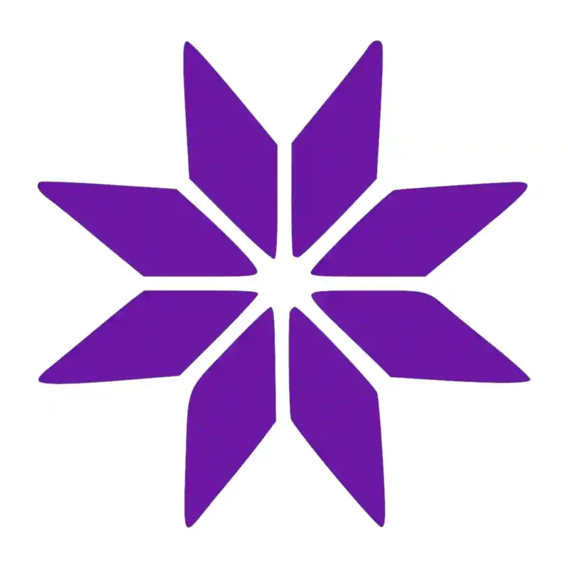 Bright Star Wall Stickers Perfect Purple | Stickers on Wall