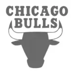 Chicago Bulls Wall Stickers Dark Grey | Stickers on Wall