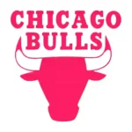 Chicago Bulls Wall Stickers Hot Pink | Stickers on Wall