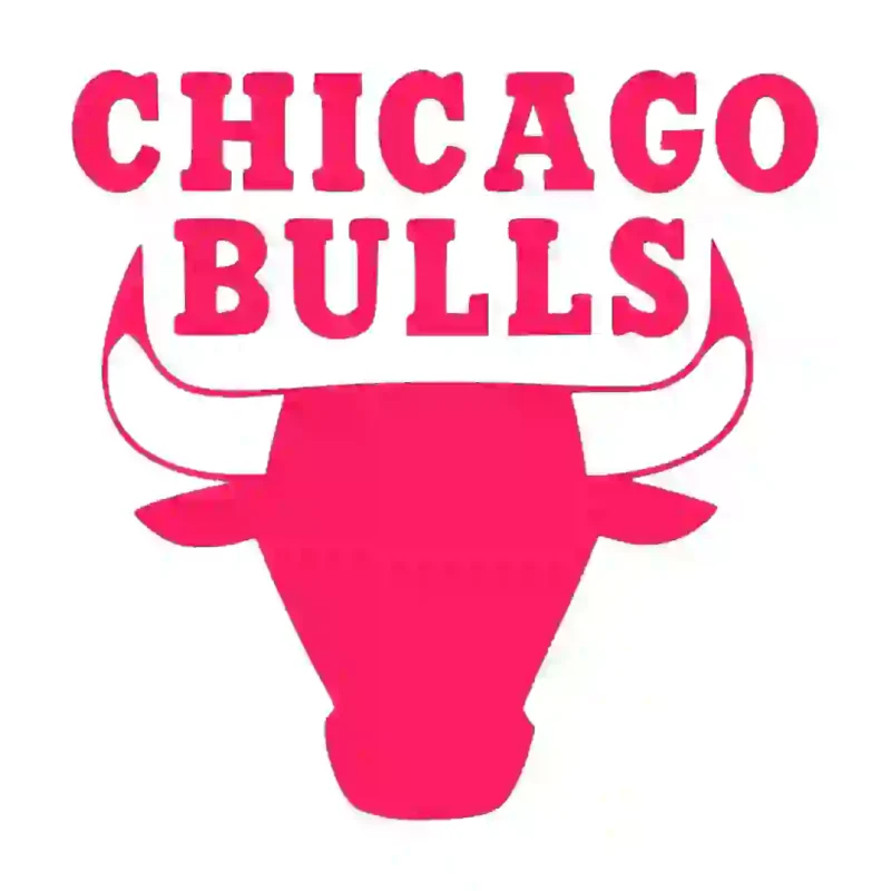 Chicago Bulls Wall Stickers Hot Pink | Stickers on Wall
