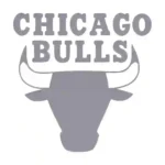 Chicago Bulls Wall Stickers Silver | Stickers on Wall