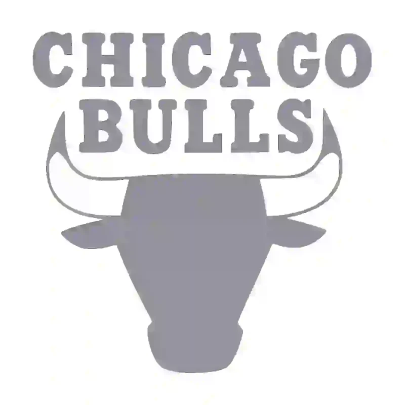 Chicago Bulls Wall Stickers Silver | Stickers on Wall