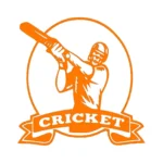 Cricket Logo Wall Stickers Orange | Stickers on Wall