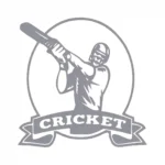 Cricket Logo Wall Stickers Silver | Stickers on Wall