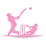 Cricket Match Wall Stickers Bubblegum | Stickers on Wall