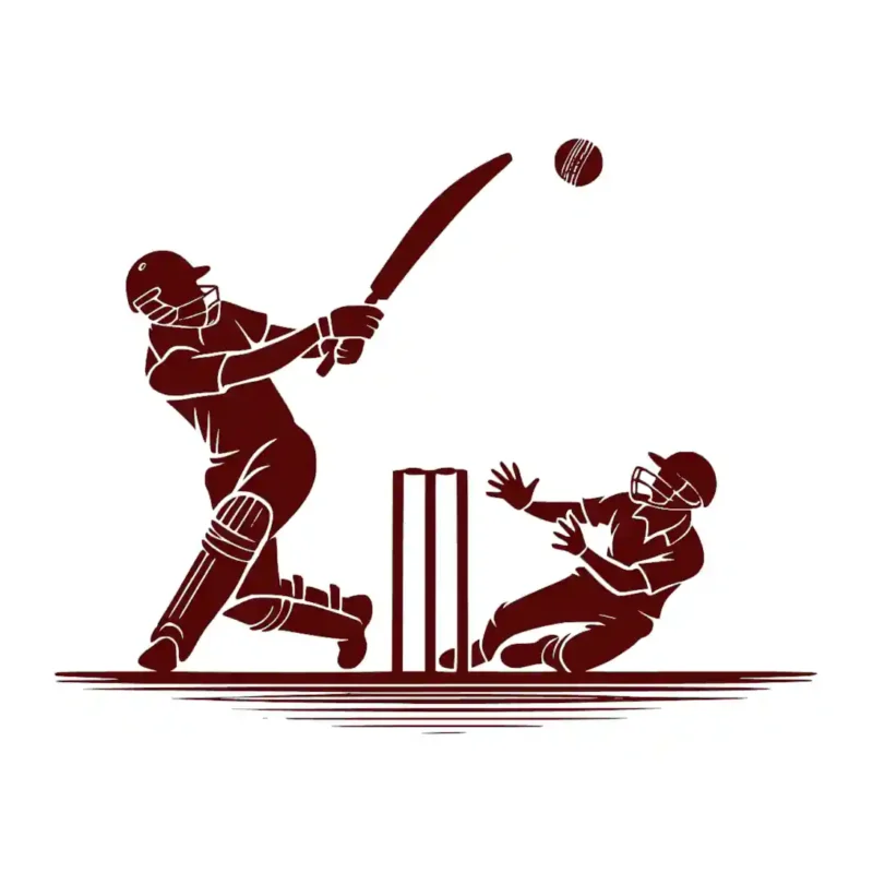 Cricket Match Wall Stickers Burgundy | Stickers on Wall