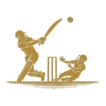 Cricket Match Wall Stickers Gold | Stickers on Wall