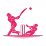 Cricket Match Wall Stickers Hot Pink | Stickers on Wall
