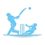 Cricket Match Wall Stickers Light Blue | Stickers on Wall