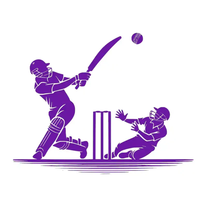 Cricket Match Wall Stickers Perfect Purple | Stickers on Wall