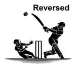 Cricket Match Wall Stickers Reversed | Stickers on Wall