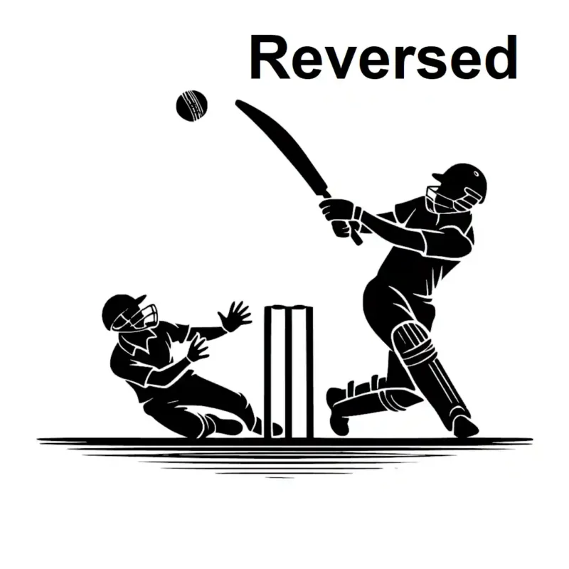 Cricket Match Wall Stickers Reversed | Stickers on Wall