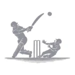 Cricket Match Wall Stickers Silver | Stickers on Wall