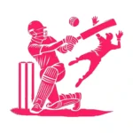 Cricket Play Wall Stickers Hot Pink | Stickers on Wall