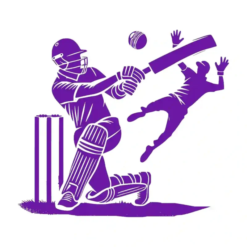 Cricket Play Wall Stickers Perfect Purple | Stickers on Wall