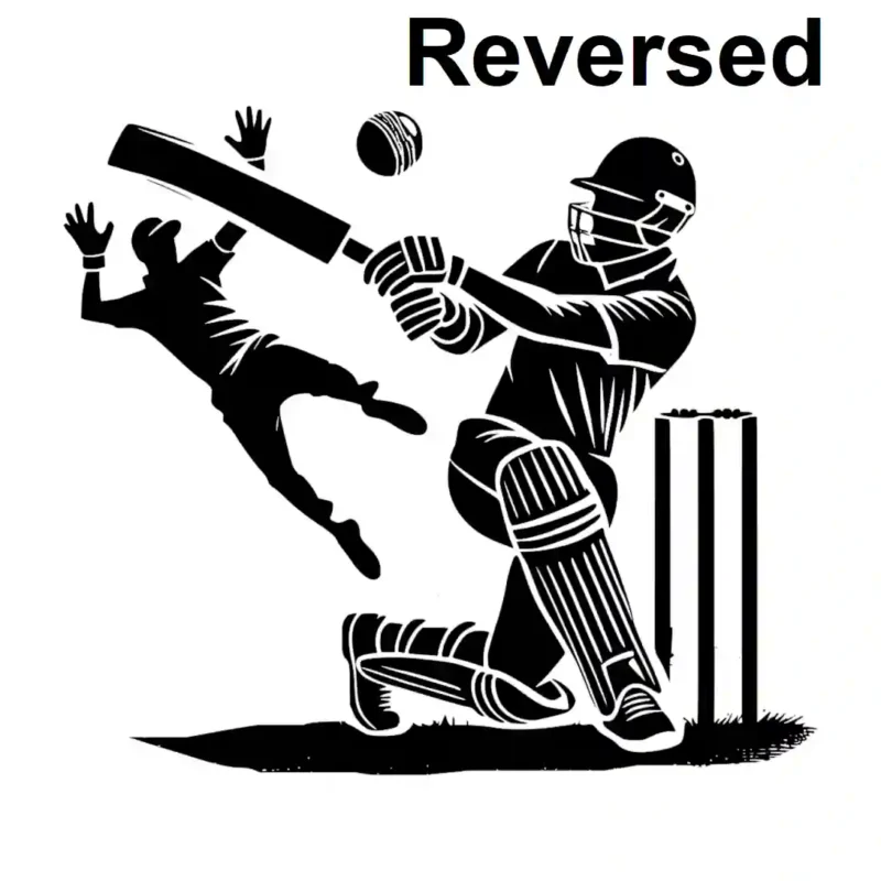 Cricket Play Wall Stickers Reversed | Stickers on Wall