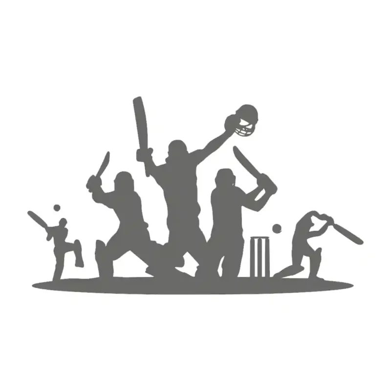 Cricket Players Wall Stickers Dark Grey | Stickers on Wall