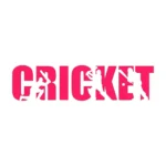 Cricket Text Wall Stickers Hot Pink | Stickers on Wall