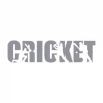 Cricket Text Wall Stickers Silver | Stickers on Wall