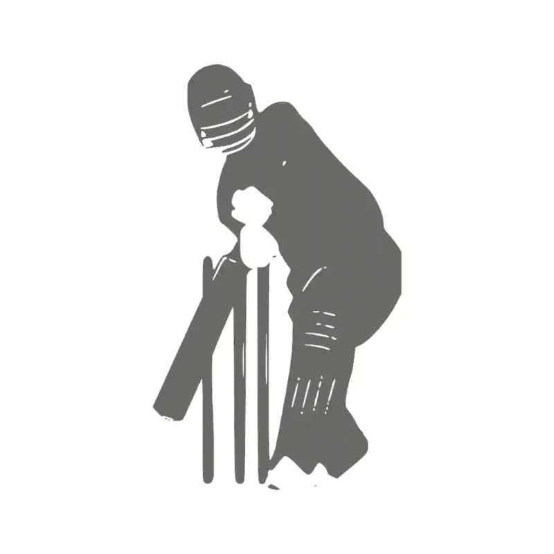 Defensive Batsman Wall Stickers Dark Grey | Stickers on Wall