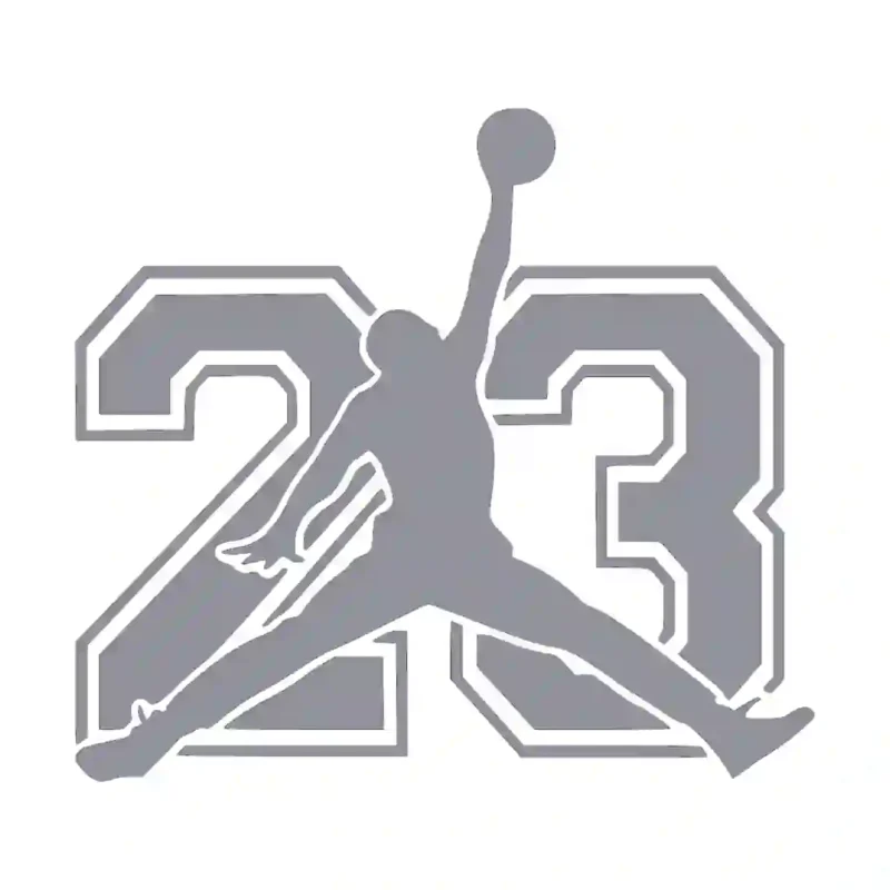 Michael Jordan  Wall Stickers Silver | Stickers on Wall