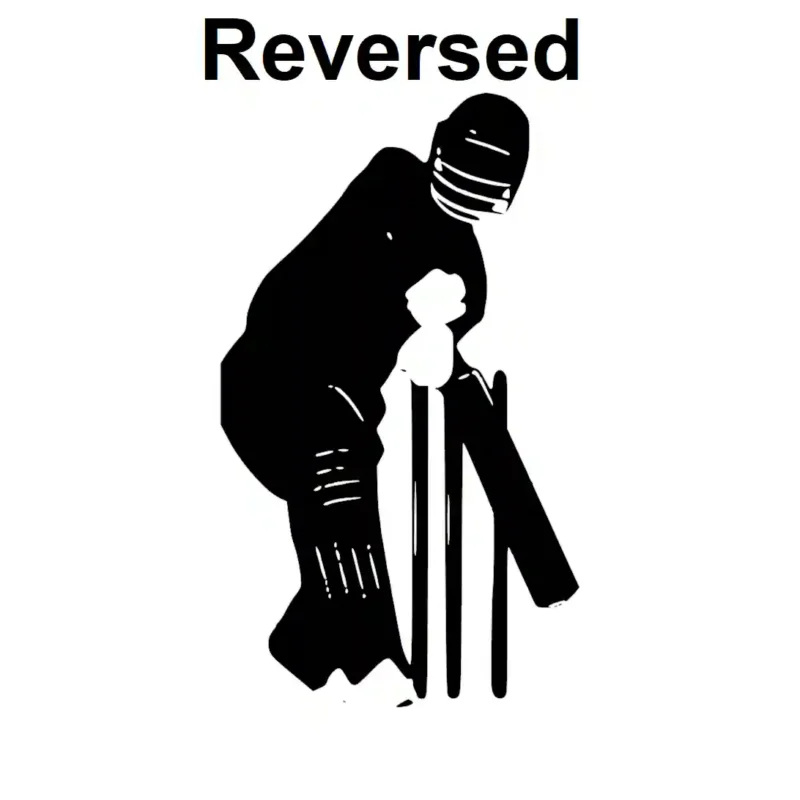 Defensive Batsman Wall Stickers Reversed | Stickers on Wall