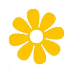 Daisy Flower Wall Stickers Golden Yellow | Stickers on Wall
