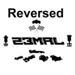 Racer Name Wall Stickers Reversed | Stickers on Wall Racer Name Wall Stickers Reversed | Stickers on Wall