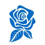 Rose Flower Wall Stickers Azure Blue | Stickers on Wall Rose Flower Wall Stickers Azure Blue | Stickers on Wall