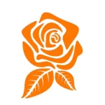 Rose Flower Wall Stickers Orange | Stickers on Wall Rose Flower Wall Stickers Orange | Stickers on Wall
