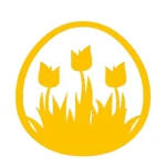 Tulip Garden Wall Stickers Golden Yellow | Stickers on Wall Tulip Garden Wall Stickers Golden Yellow | Stickers on Wall