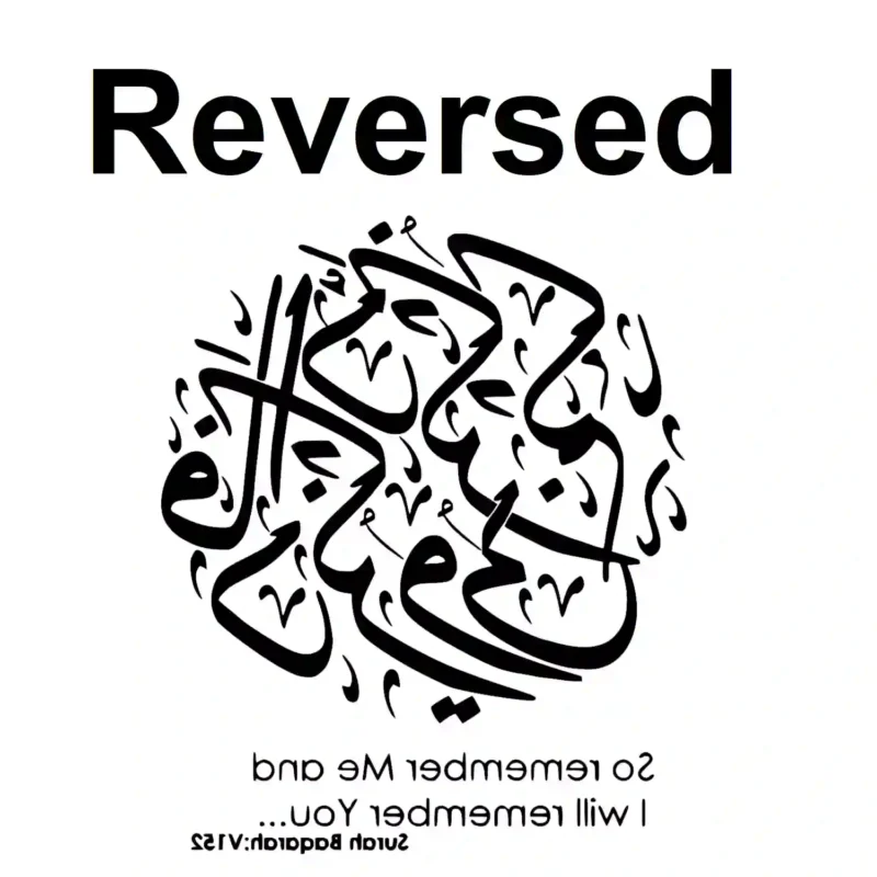 Baqarah  Wall Stickers Reversed | Stickers on Wall