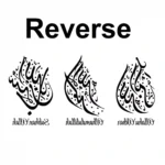 Tasbeeh X Wall Stickers Reversed | Stickers on Wall